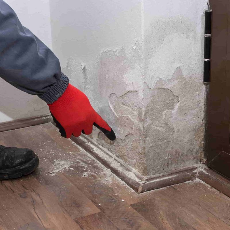 problemi di umidità