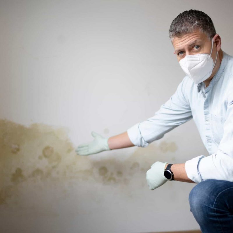 problemi di umidità